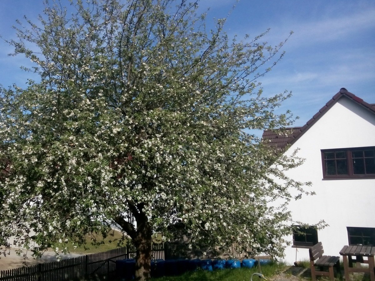 Mostviertel